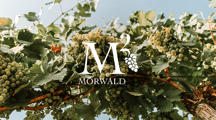 Diplomarbeit: M2 Mörwald - Multimedialer Aufbau einer neuen Weinmarke