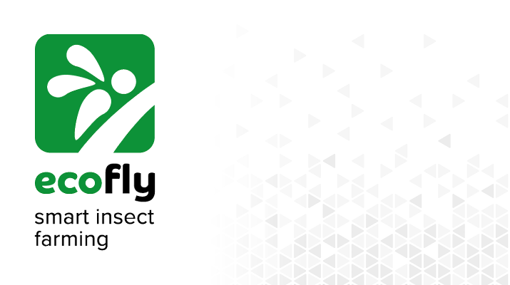 Diplomarbeit: Ecofly – Redesign von Logo und Design von Produktbroschüre und Verpackungen für Endverbraucher